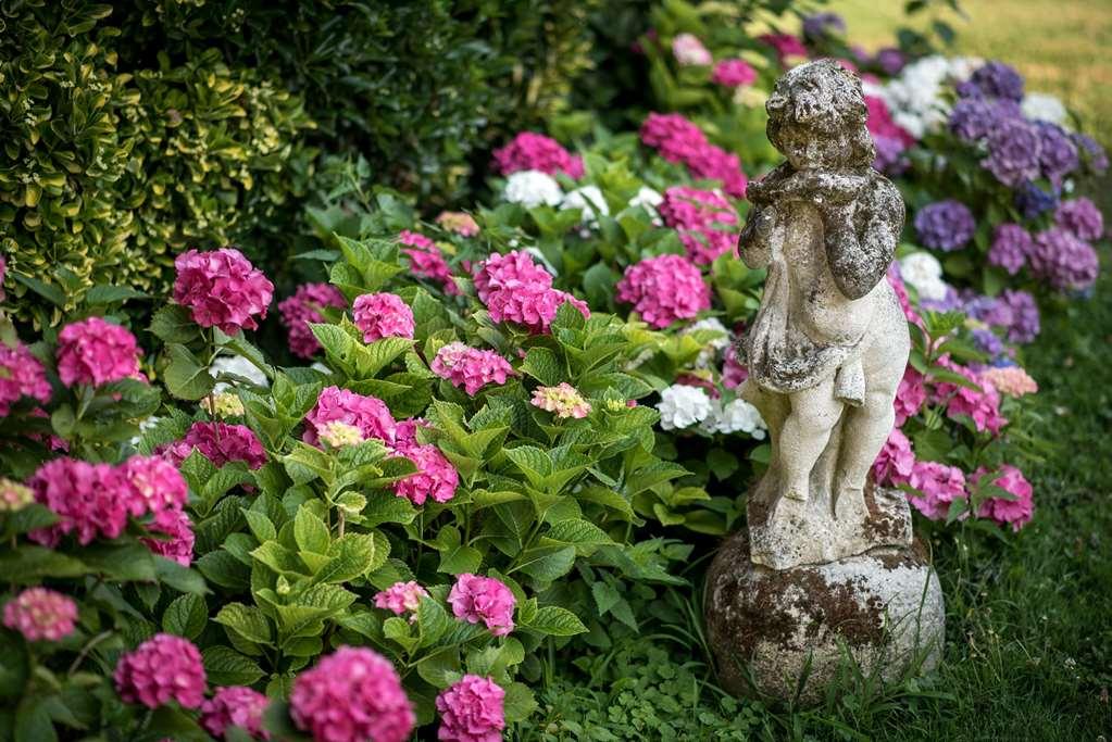 Villa Margherita Mira Buitenkant foto